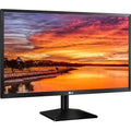 Electronics 24BK430H-B 24-Inch Screen LCD Monitor,Black